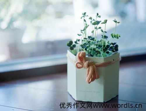 适合晴天发的说说短句 晴天发朋友圈的句子