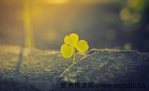 适合发朋友圈怀念过去的句子 回忆往事的感慨短语