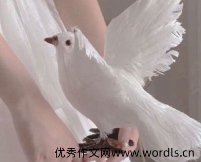 心直口快没有心眼的人说说 形容自己直性子的句子