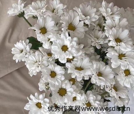 很安静时一个人听歌的心情说说 一个人静静的听歌的文案