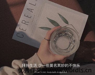 无法用言语表达的心情句子 心里五味杂陈的说说