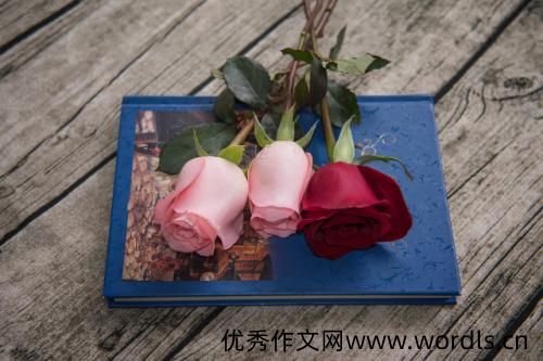 感悟人生的说说 经典语句人生感悟
