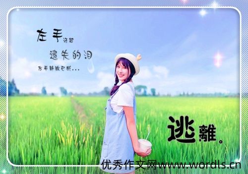 失去了信任的感情说说