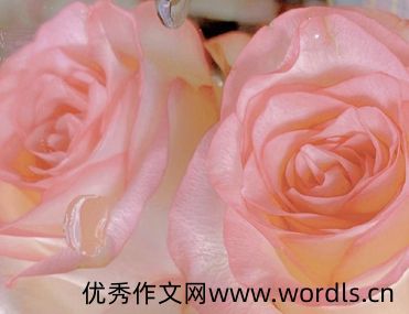 一路走来经历酸甜苦辣的说说 挺过去熬过去霸气句子