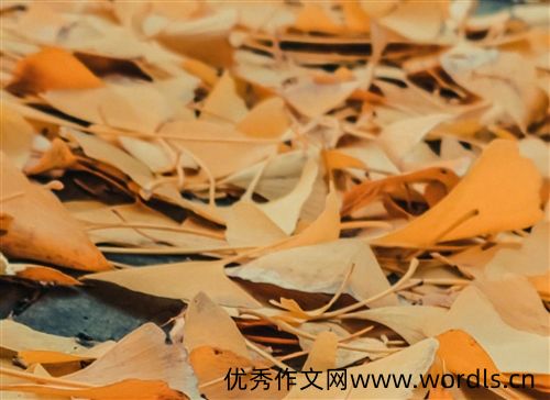 入冬发朋友圈的说说