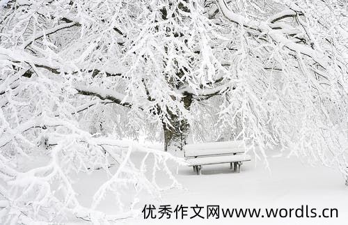 12月说说文案简短 12月你好的说说
