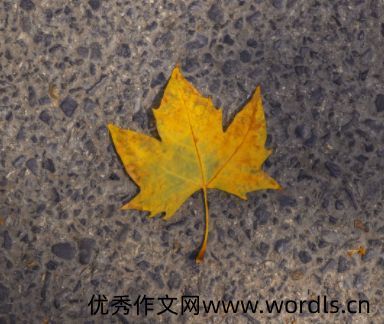 感觉自己老了的经典文案 感慨自己老了的说说
