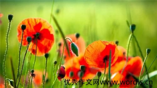 感恩家人的话发朋友圈 感恩亲人简短的句子