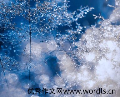 2021霜降发朋友圈的暖心说说 适合霜降发朋友圈的唯美短句