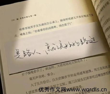 一个人挺好的没有惊喜没有意外的说说 一个人简简单单生活的文