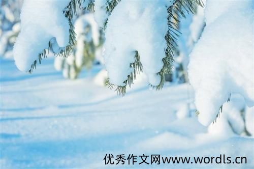 给人安全感的心情语录 让人暖心舒服的说说