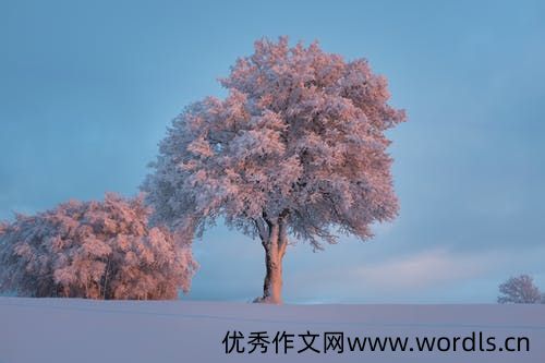 微商发朋友圈走心软文 微商走心文案范文