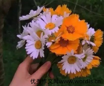 感觉自己重生了的说说 重新开始新的生活文案
