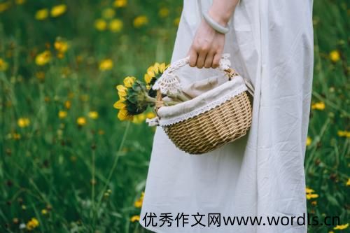 我不能让所有人都满意的说说