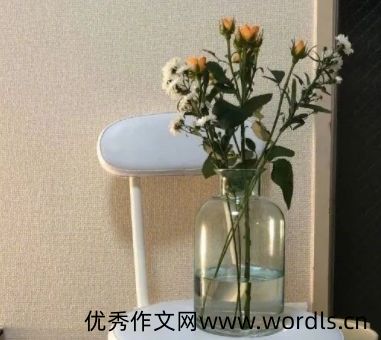 失去后无法再弥补的说说 无法弥补的遗憾的文案