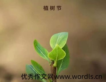 2022植树节正能量语录 植树节发朋友圈的正能量说说